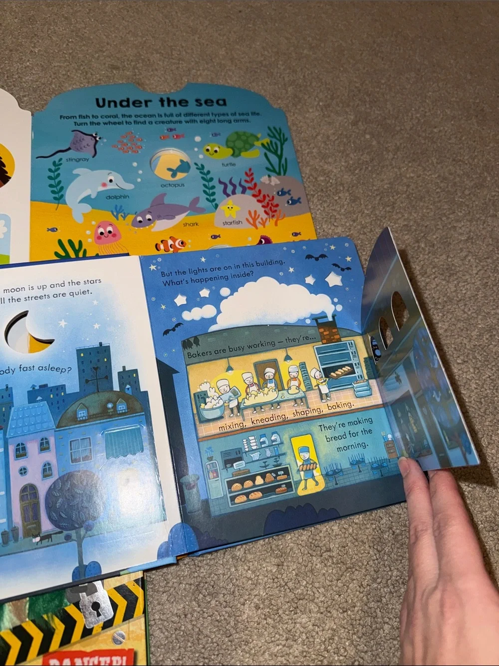 Lift the flap/interactive board books